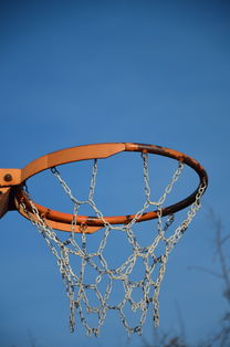 mk体育平台网页版入口-NBA球队球员培养规划设计，nba对球员的要求是什么