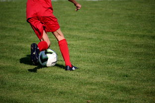 mk sport-意甲青训项目加入比赛情绪识别系统提升抗压反应，意甲情怀