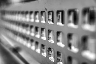 mk体育官网-运动康复技术在青少年体能提升中的应用研究，运动康复体系