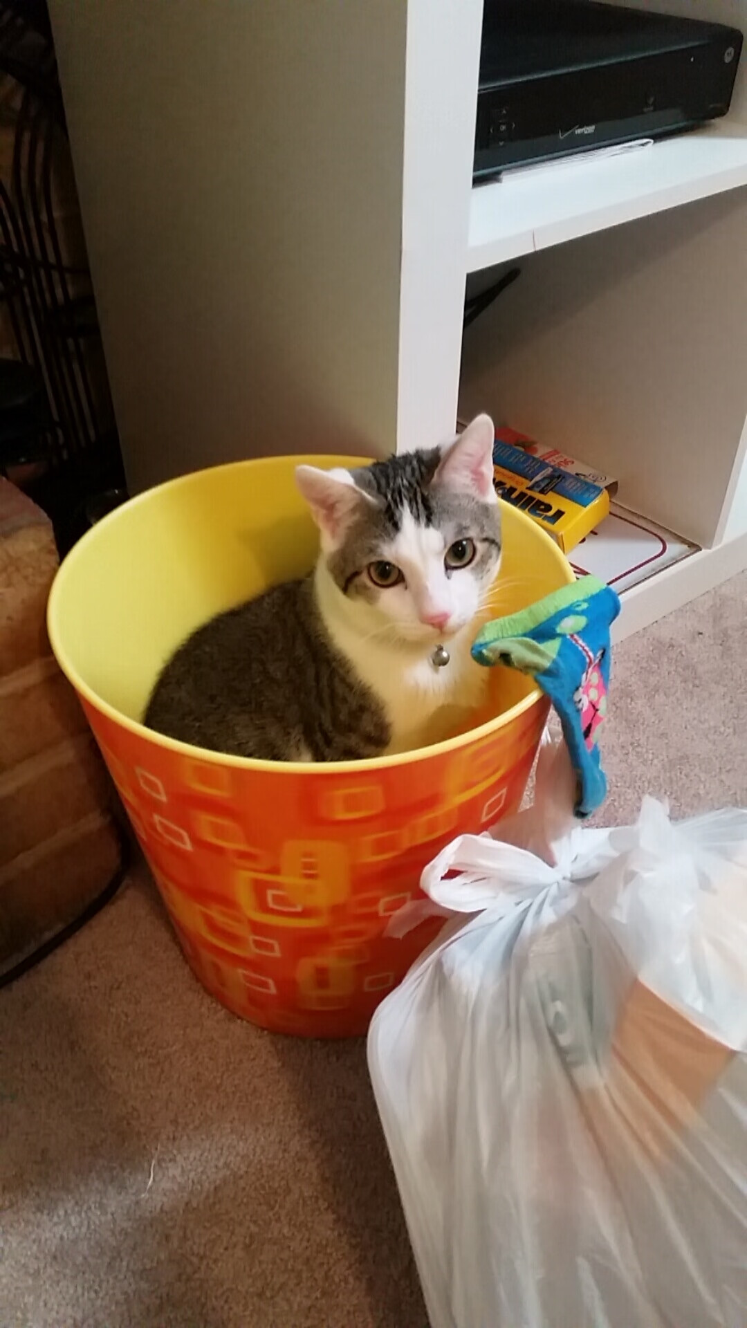 mk体育平台登录入口-CBA联盟建立长效机制扶持青训力量，cba联盟是什么意思啊