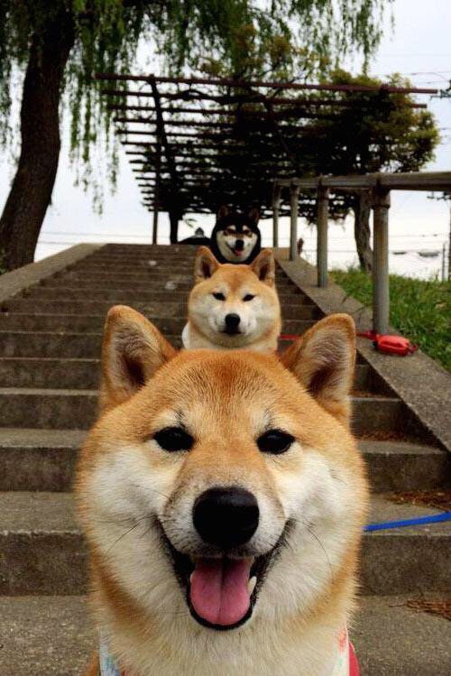 mk体育官网入口-中国三人女篮体能储备充足，中国三人女篮水平