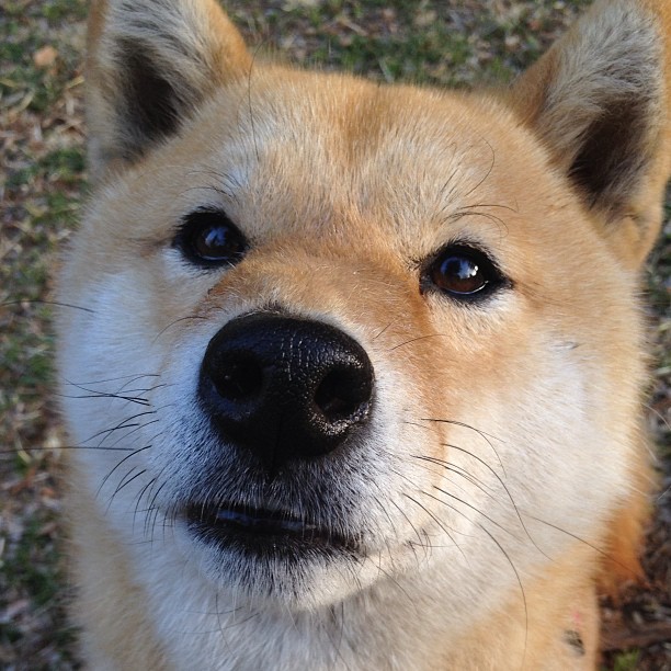 mk体育全站-决赛中关键技术动作解读，技能决赛