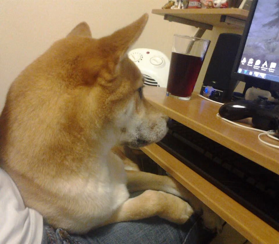 mk体育-外教战术体系缺乏与中方助教协同计划，外教战术体系缺乏与中方助教协同计划的原因