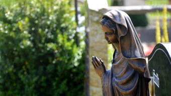 mk体育官网入口-女子200蝶划水幅度：中国略占上风，女子200米蝶泳决赛视频保存到相册里