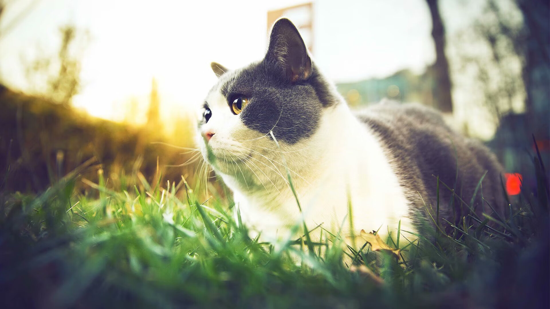 mk体育网页-巴萨短传配合打破僵持场面，巴萨精彩配合