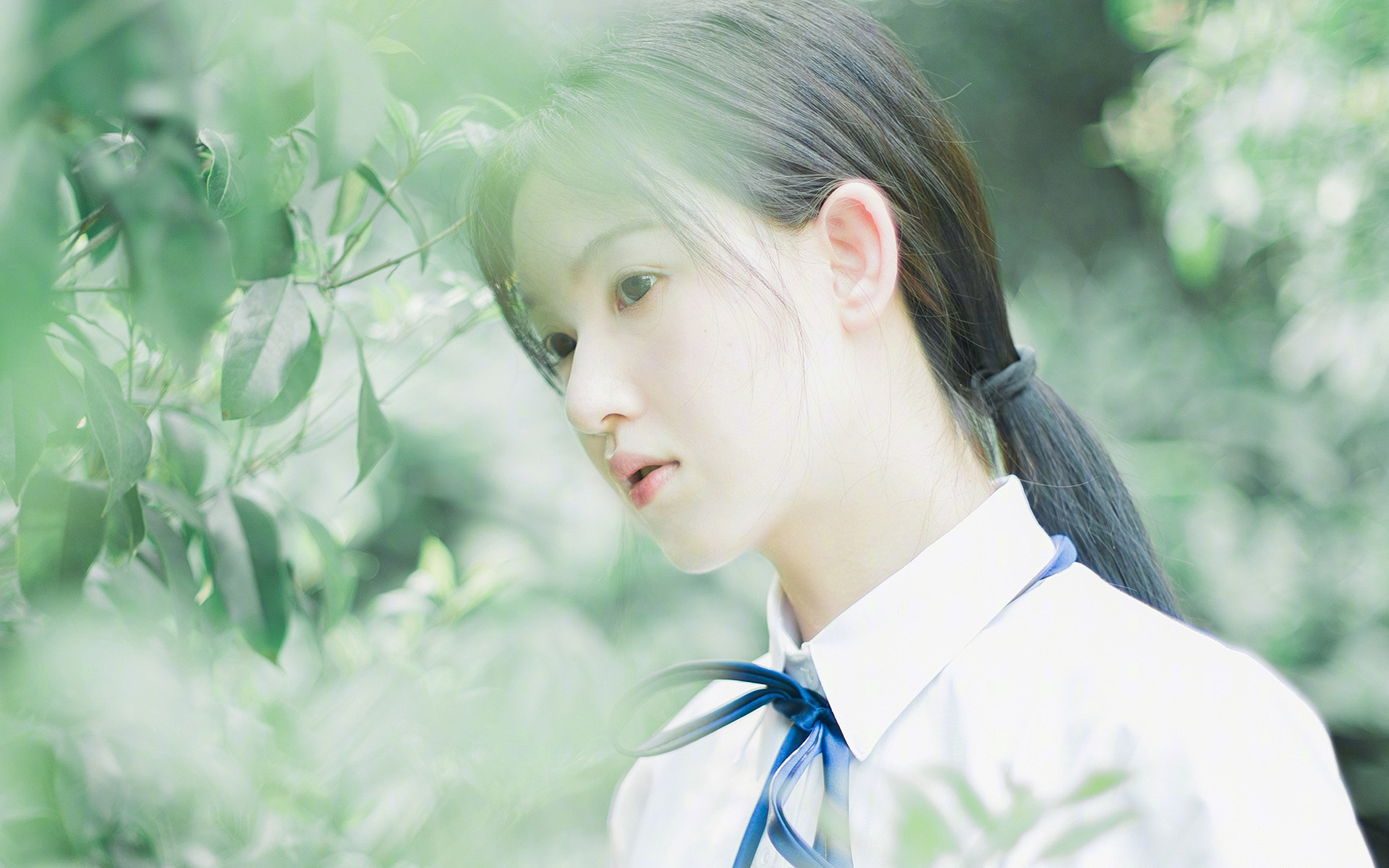 mk体育全站-伊利亚·哈伦男子蝶泳赛场新星崛起