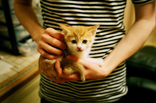 mk体育app-南非橄榄球队的阵容深度使其在全球赛场上具有优势，南非橄榄球队员