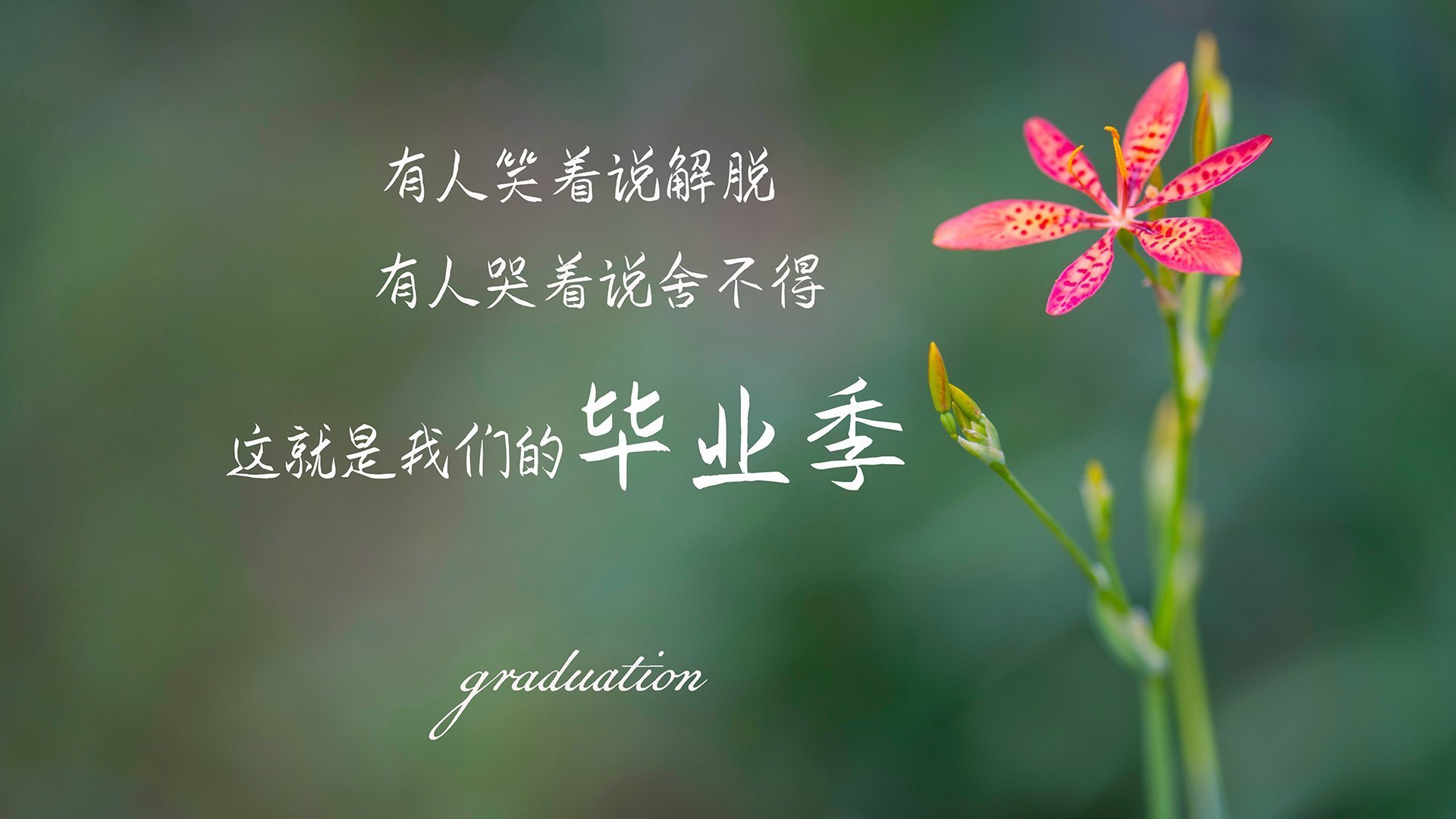 mk体育app-巴黎圣日耳曼豪取多场胜利，稳固法甲榜首位置