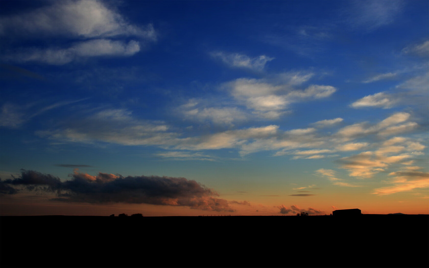 mk体育平台网页版入口-苏炳添受邀参与科学运动研究项目，苏炳添副教授