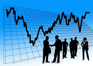 mk体育-青训中心提供模拟选拔日增强实战心理适应力，青训选拔机制